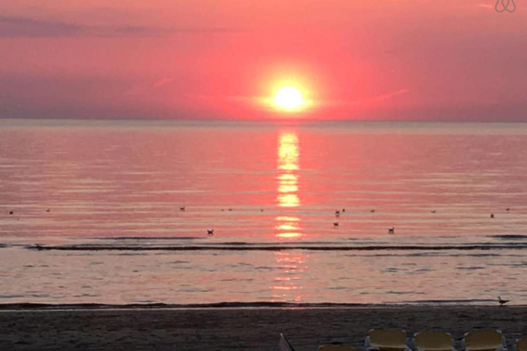 View With A Room Zandvoort With Private Parking 외부 사진
